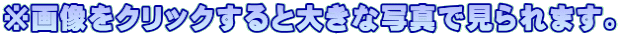 ���摜���N���b�N����Ƒ傫�Ȏʐ^�Ō����܂��B